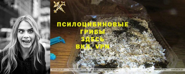 таблы Бородино