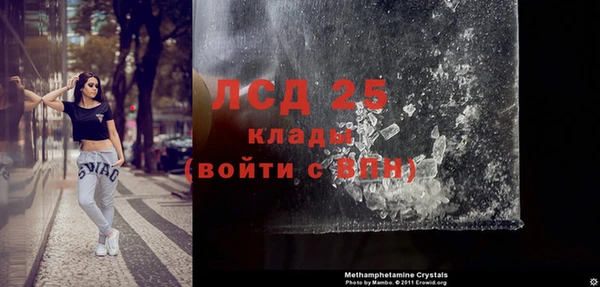 таблы Бородино