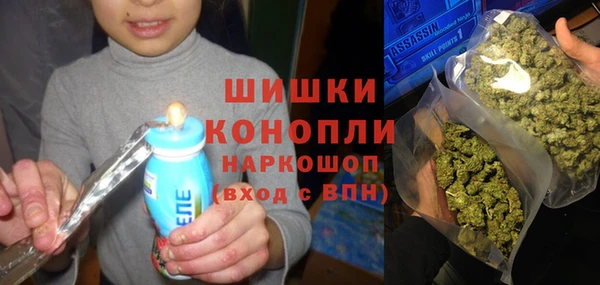 таблы Бородино